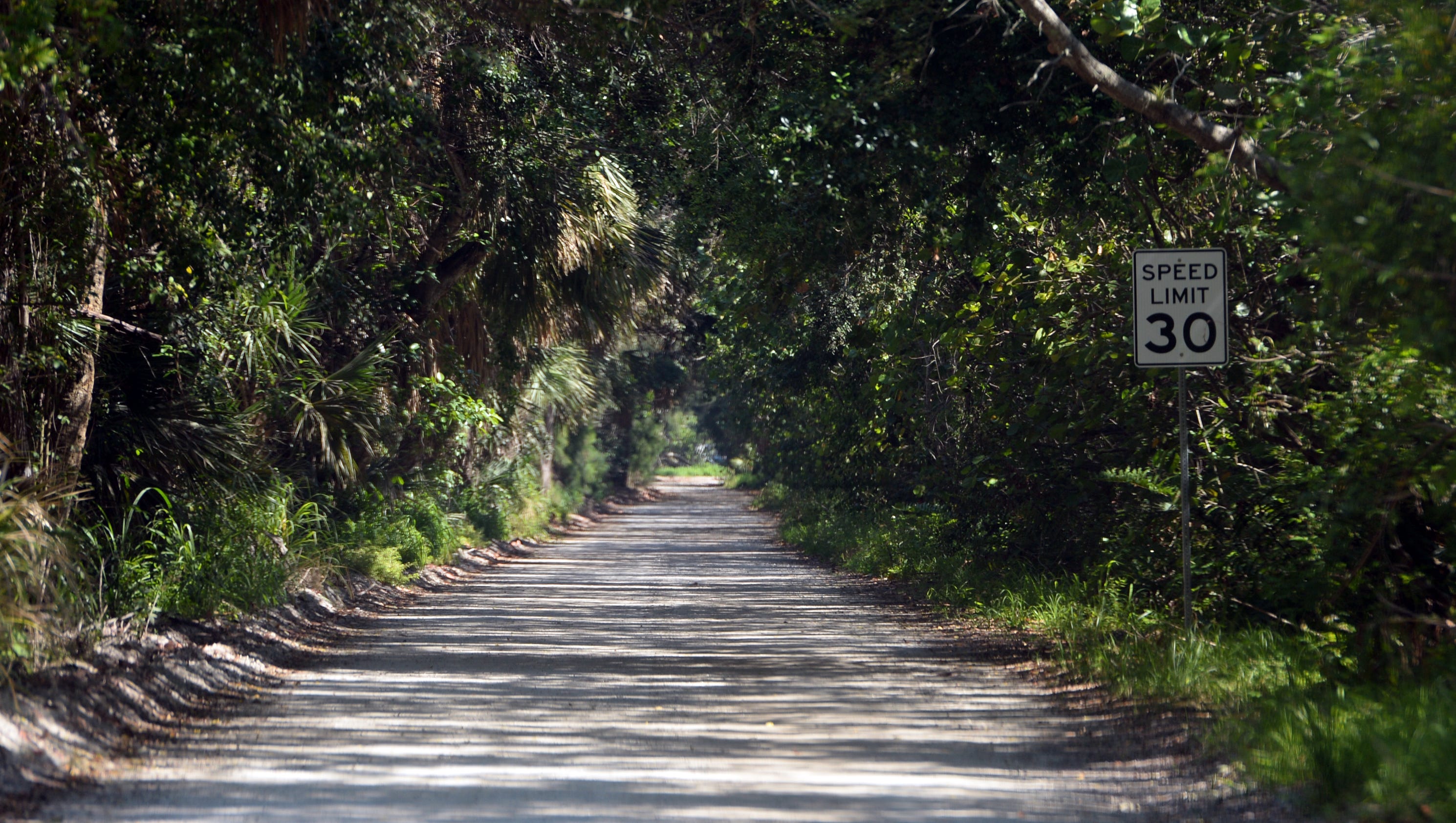 indian-river-county-to-place-share-the-road-signs-on-jungle-trail